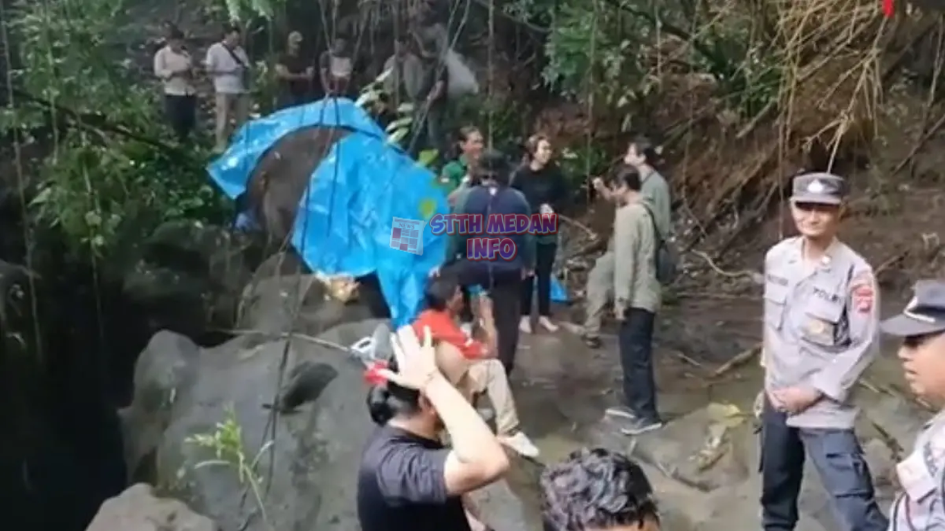 Potret Bangkai Molly yang Terdampar di Bebatuan Sungai Cengceng, Gianyar, Bali - Liputan6