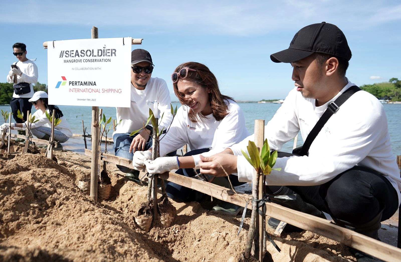 Potret Pertamina dalam Melestarikan Mangrove