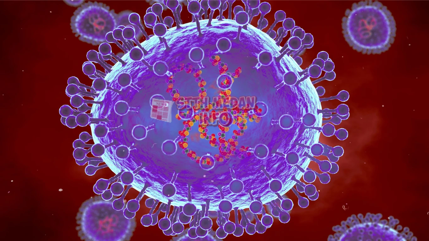 Ilustrasi Virus HMPV - Getty Images