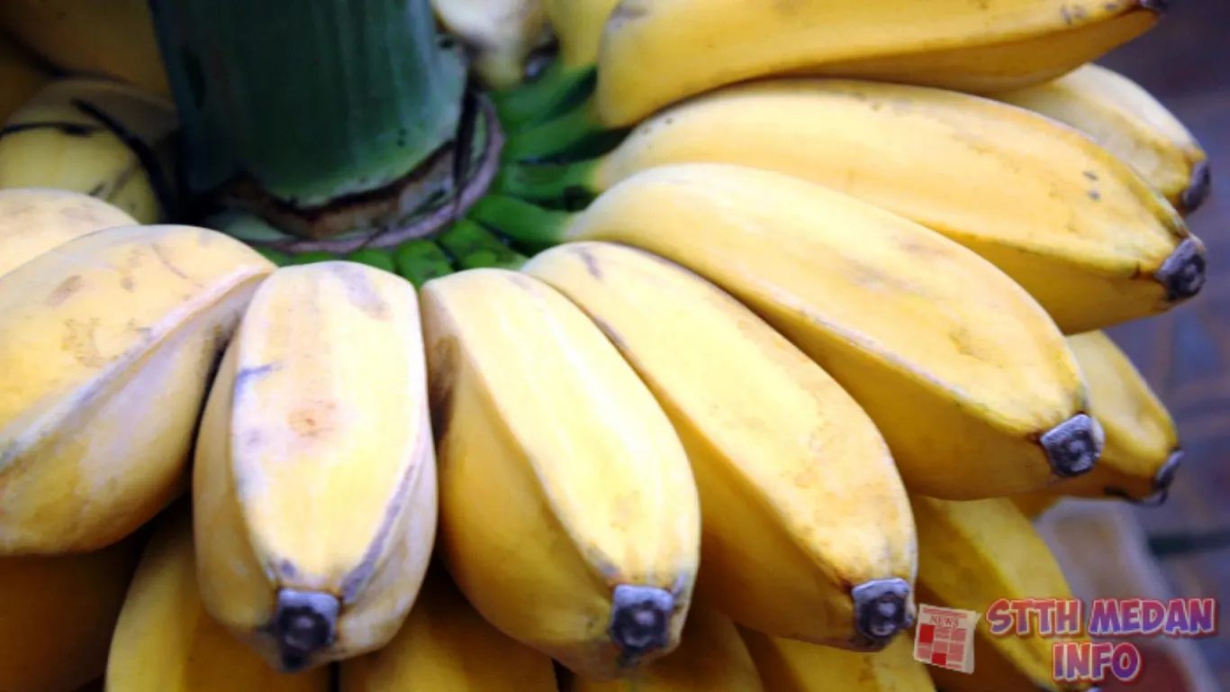 Pisang Kepok - Bawuran.id